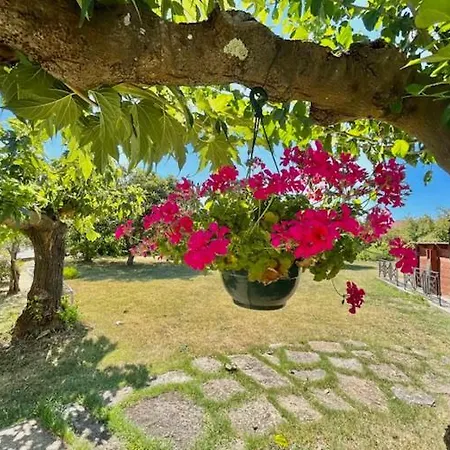 Apartmán Occitemps Saint Julien Les Rosiers